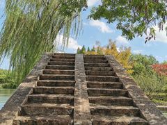 -青枫公园