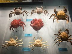 -天津自然博物馆