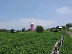 -大连铭湖国际观光牧场