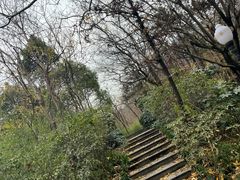 -句容茅山景区