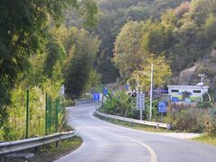 -红山村