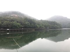 -白马涧龙池景区