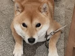 -三目仓咖啡(贤南路店)