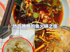 -费明中罗非鱼(大石坝店)