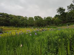 -金海湾滨江公园