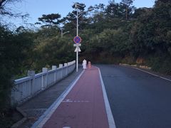 -仙岳公园