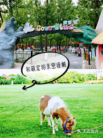 在孩子的成长过程中，想要孩子的更加的活泼开朗