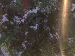 -上海市普陀区中心医院