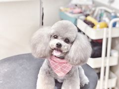 -Double Rui宠物酒店