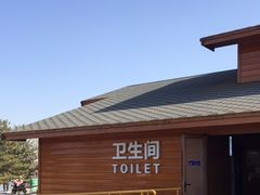 -东郊湿地公园