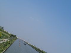 -南汇新场正宗水蜜桃采摘