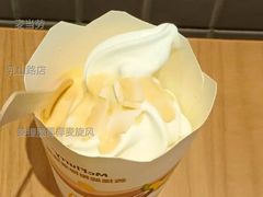 姜撞脆椰椰麦旋风-麦当劳(乳山路店)