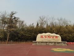 -莲花池公园