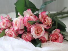 -花未央花店·WEYOUNG