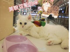 -万达广场(南昌红谷滩店)
