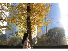 -重庆市江北嘴中央商务区中央公园