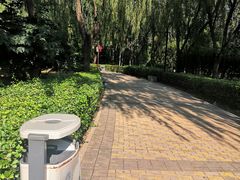 -古塔公园