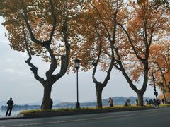 -北山街历史文化街区