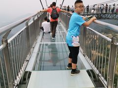 -梦幻奥陶纪景区