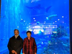 -成都浩海立方海洋公园