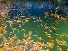 -长春市南湖公园