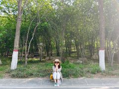 -石家庄市植物园