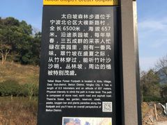 -北仑森林植物园