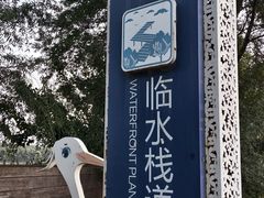 -丁香湖公园