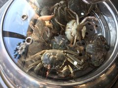 -一号码头蒸汽海鲜自助
