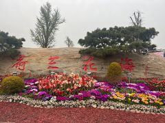 -荷兰花海