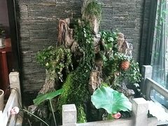 -知足堂养生会所(碑亭巷店)