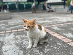 -广州动物园