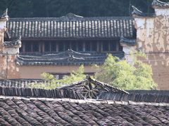 -杨家堂村