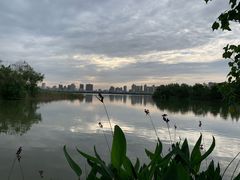 -艾溪湖湿地公园