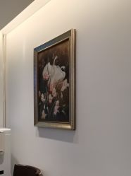 -天津伊美尔医疗整形美容专科医院