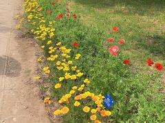 -国家植物园南园