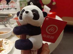 -海底捞火锅(阳光新业店)