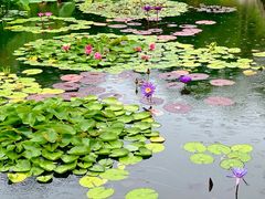 -国家植物园南园