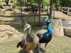 -哈尔滨北方森林动物园