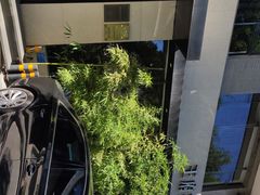 -王府茶宴(大观园总店)