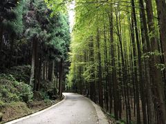 -山王坪喀斯特国家生态公园