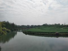 -乌村