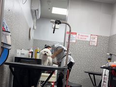 -宠物家(角门东店)