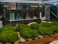-奈雪的茶(新天地广场PRO店)