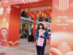 -VT101维多利广场