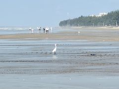 -万尾金滩
