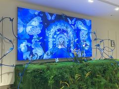 -深圳龙华星河COCO City(民治店)