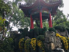 -莲湖公园