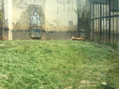 -无锡动物园·太湖欢乐园