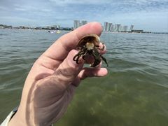 -东戴河风景区-止锚湾